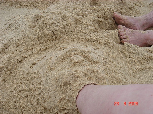 640x480 pixels (161K)