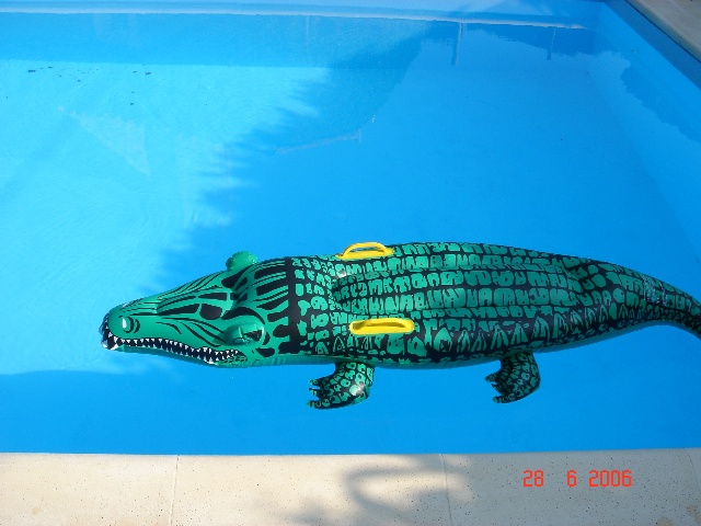 640x480 pixels (96K)