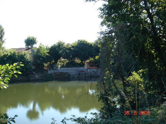 640x480 pixels (142K)