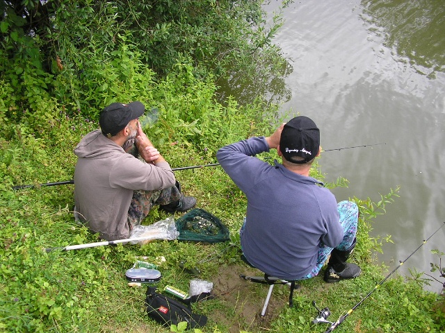 640x480 pixels (182K)