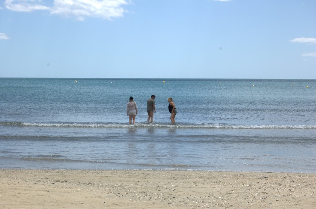 640x424 pixels (87K)