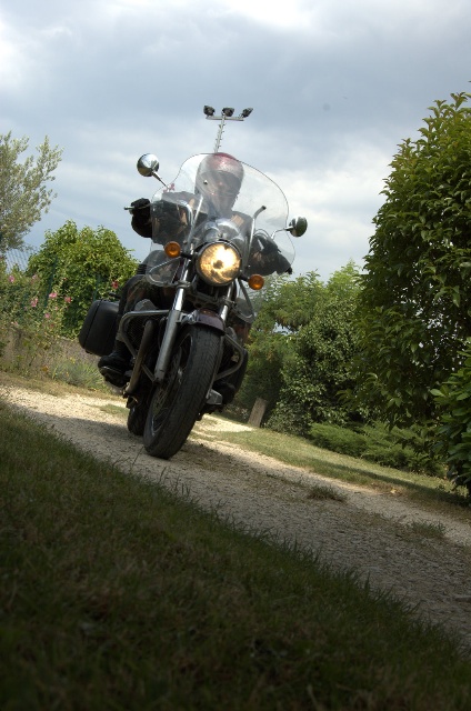 424x640 pixels (106K)