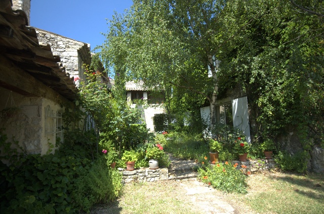 640x424 pixels (159K)