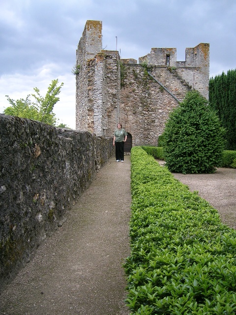 480x640 pixels (174K)