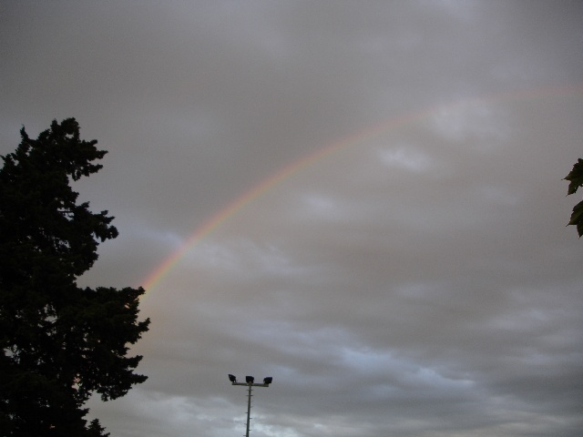 640x480 pixels (54K)