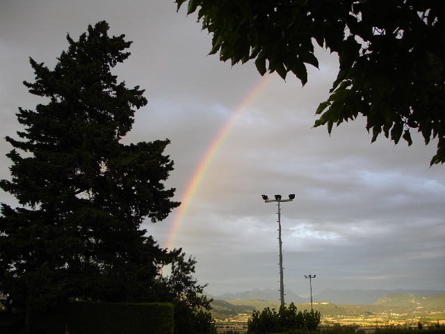 640x480 pixels (95K)