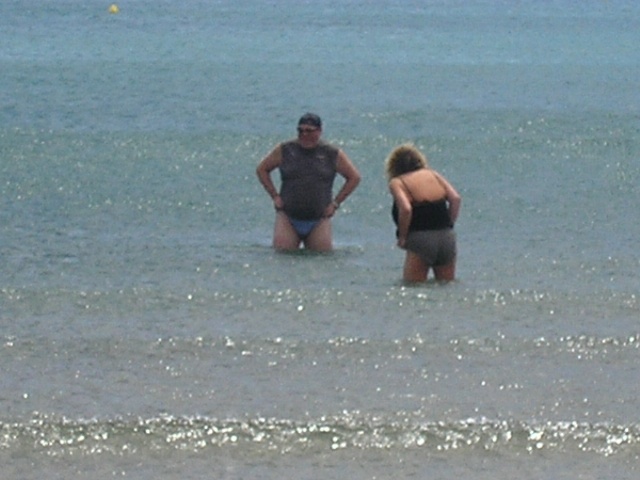 640x480 pixels (83K)