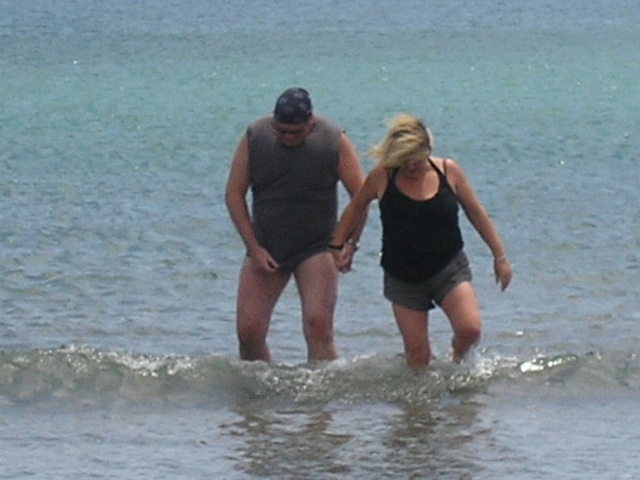 640x480 pixels (84K)