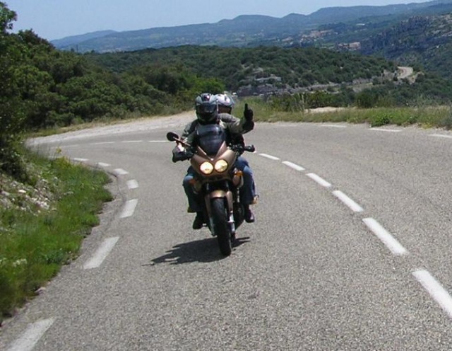 640x496 pixels (118K)