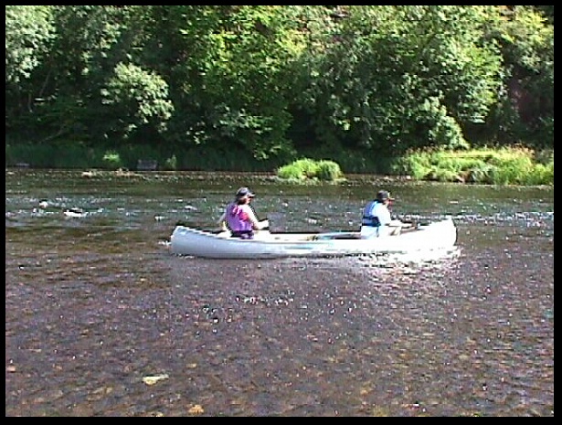 602x451 pixels (142K)