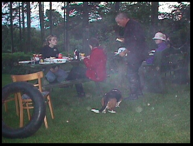 602x451 pixels (96K)