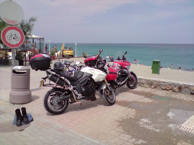 640x480 pixels (87K)