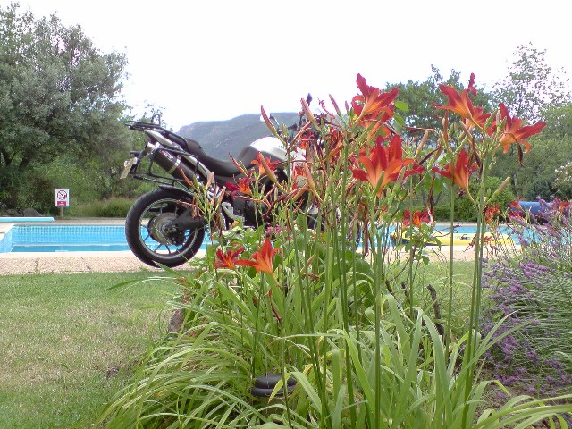 640x480 pixels (127K)