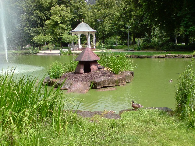 640x480 pixels (138K)