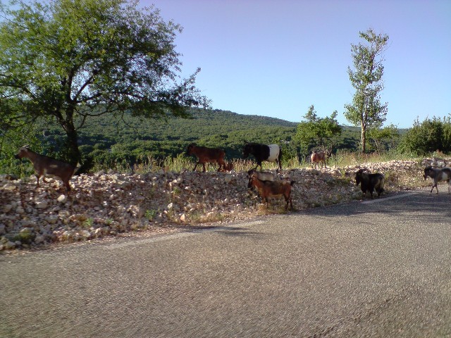 640x480 pixels (121K)