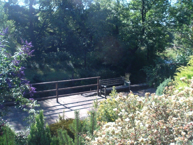 640x480 pixels (180K)