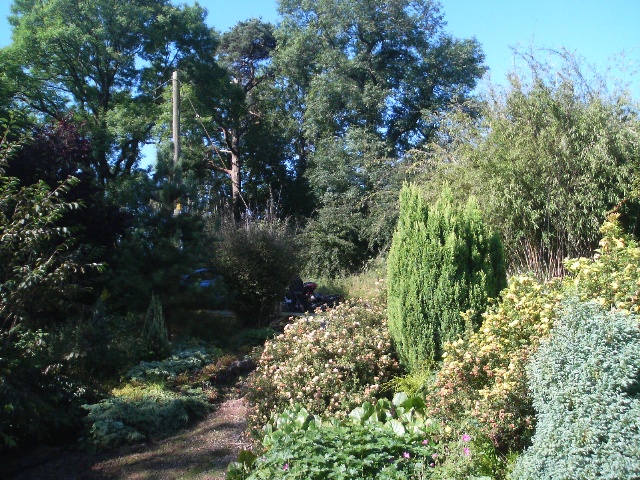 640x480 pixels (202K)