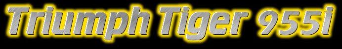 bels triumph tiger 955i